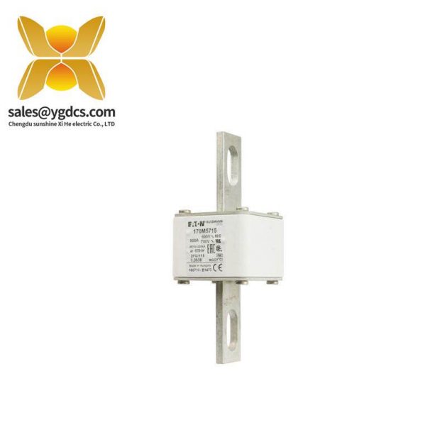 BUSSMANN 高品質(zhì)熔斷器 FWC-32A10F 電路保護(hù)模塊